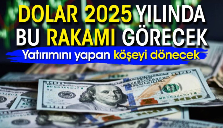 Yatırımını yapan köşeyi dönecek: Dolar 2025 yılında bu rakamı görecek
