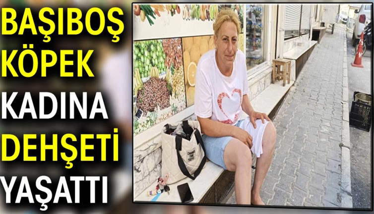 Başıboş köpek kadına dehşeti yaşattı