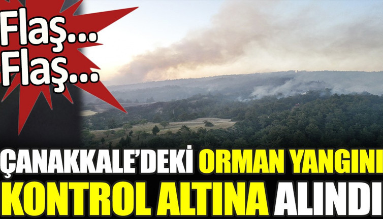 Çanakkale'deki orman yangını kontrol altına alındı