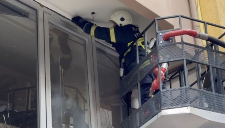 Yuvadan düşen serçe yavrusunu kurtarma operasyonu