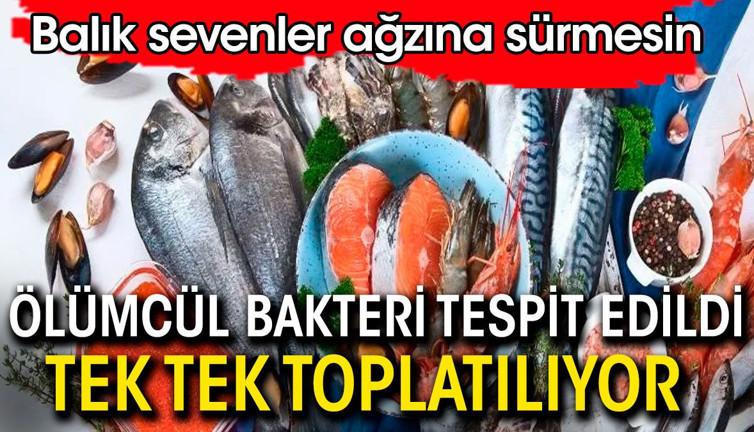 Ölümcül bakteri bulundu tek tek toplatılıyor. Balık sevenler ağzına sürmesin
