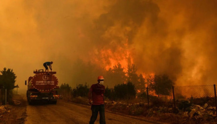 Yattan atılan havai fişek ormanı tutuşturdu. 13 kişi gözaltına alındı