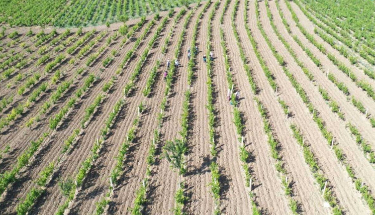 Hasadı başladı. 3 ayda 2 milyar lira kazanacaklar