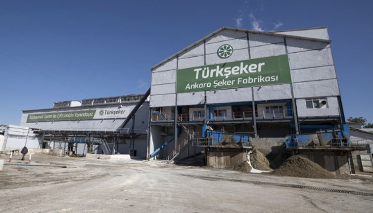 Yerli şeker pancarı tohumları toprakla buluşacak