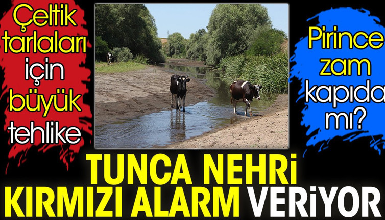 Tunca Nehri kırmızı alarm veriyor. Çeltik tarlaları için büyük tehlike. Pirince zam kapıda mı?