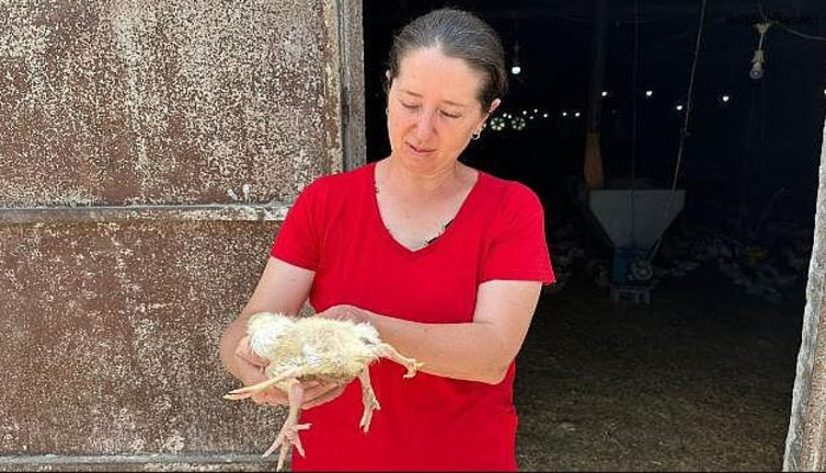 Adana’da şoke eden olay! Dört ayaklı çıktı