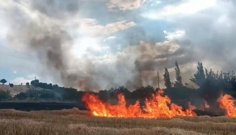 Adıyaman’da anız yangını