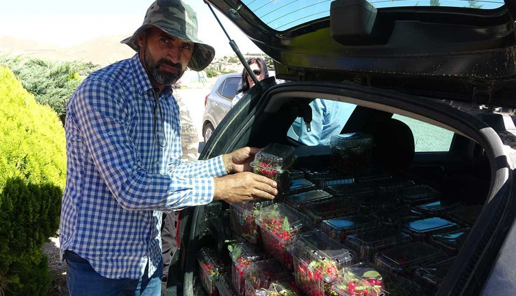 Yozgat'ta hasat başladı. 1 ton bekleniyor