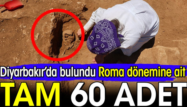 Diyarbakır'da 60 adet tarihi keşif! Hepsi Roma dönemine ait