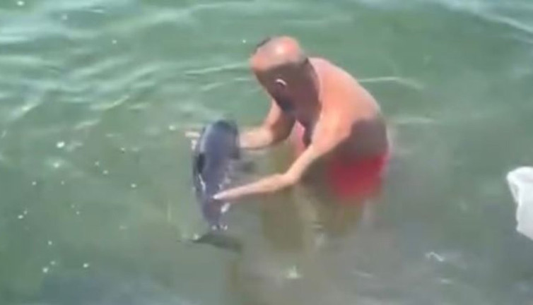 Balıkçılar bu kez balık kurtardı