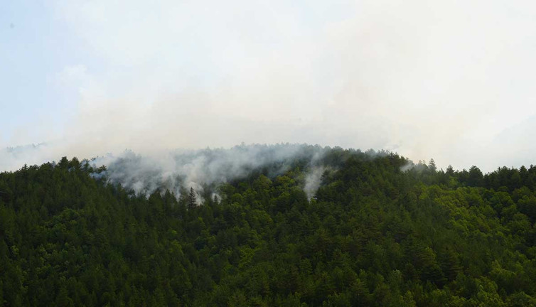 Kastamonu'da orman yangını (04 Temmuz 2024)