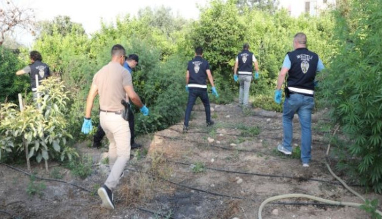 Limon bahçesini polis bastı