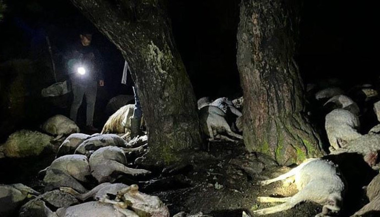 Çoban ile sürüsüne yıldırım çarptı