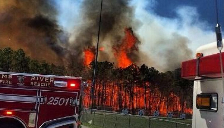 Orman yangını kontrolden çıktı