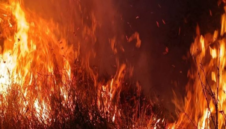 Tunceli’de 10 dönüm kül oldu