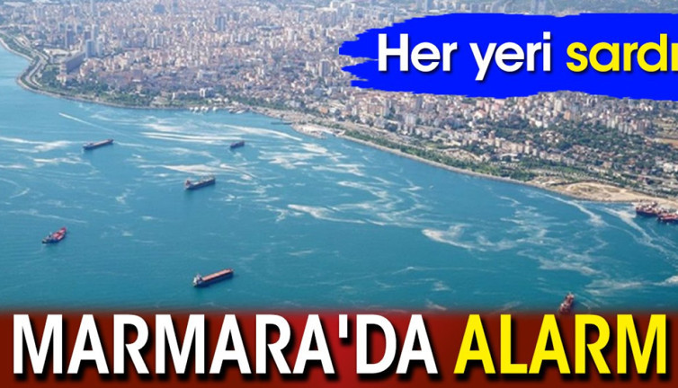 Marmara'da alarm: Her yeri sardı