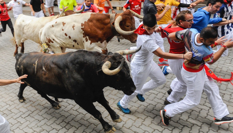 Ünlü boğa yarışı festivali başladı