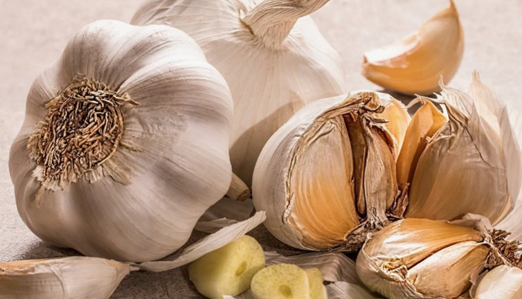Sarımsağın saymakla bitmeyen faydalar