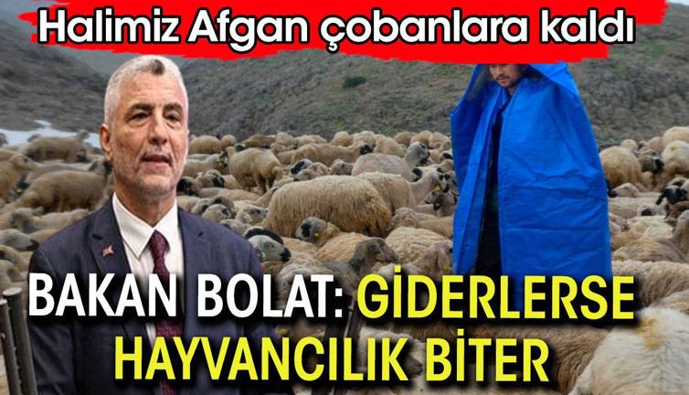 Ticaret Bakanı Bolat: Afganlar giderse hayvancılık biter