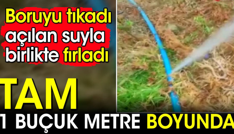 Boruyu tıkadı açılan suyla birlikte fırladı! Tam 1 buçuk metre boyunda