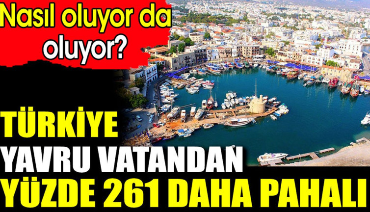 Türkiye yavru vatandan yüzde 261 daha pahalı. Nasıl oluyor da oluyor?