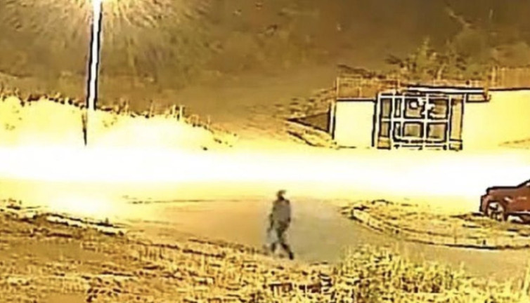 Ağacı kökünden söküp çaldı