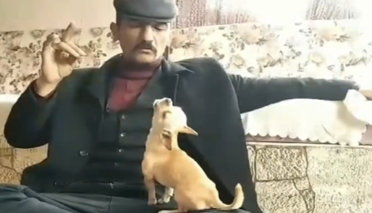 Küçük süs köpeğine bozkurt işaretini gösterip ulumayı öğretti