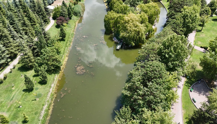 Porsuk Çayı yosun tuttu