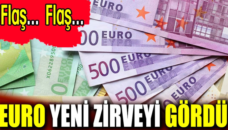 Euro yeni zirveyi gördü