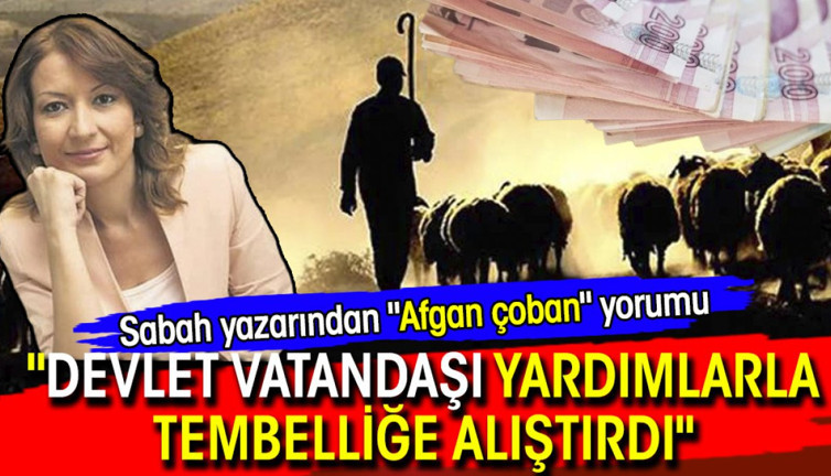Sabah yazarından "Afgan çoban" yorumu: "Devlet vatandaşı yardımlarla tembelliğe alıştırdı"