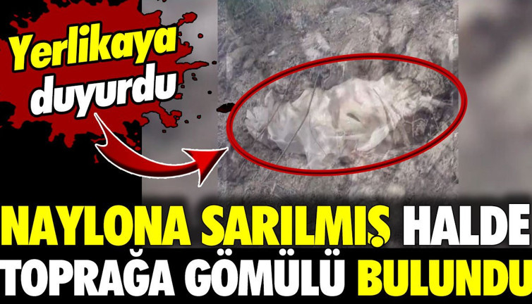 Şırnak’ta naylona sarılmış halde toprağa gömülü bulundu! Yerlikaya duyurdu