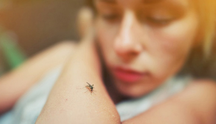 Sivrisinekleri öldürmek hastalıkları önler mi? Uzmanlar açıkladı