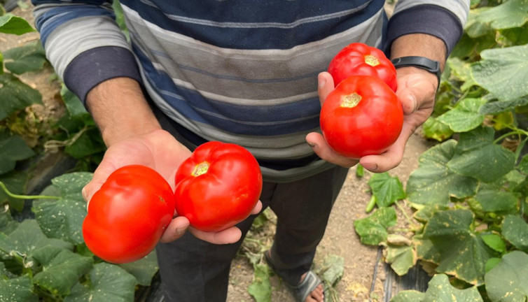Ürünleri yüzde 45'i vatandaşa ulaşamadan telef oluyor