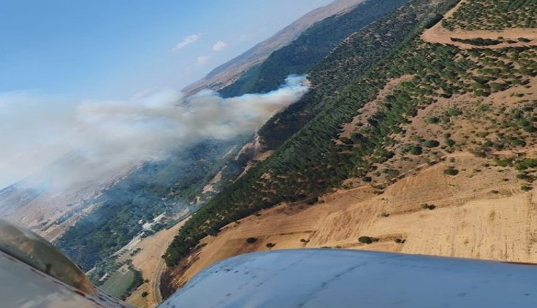 Balıkesir'de orman yangını (13 Temmuz 2024)