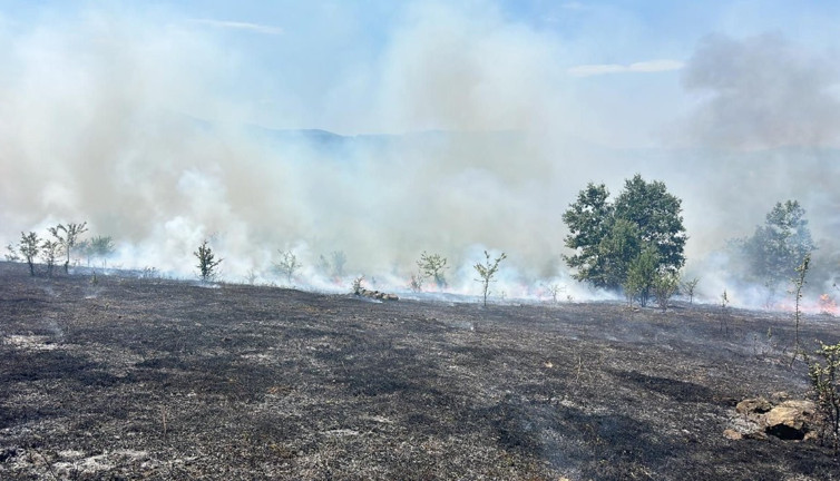 Samsun’da 25 dönümlük tarım arazisi yangında zarar gördü