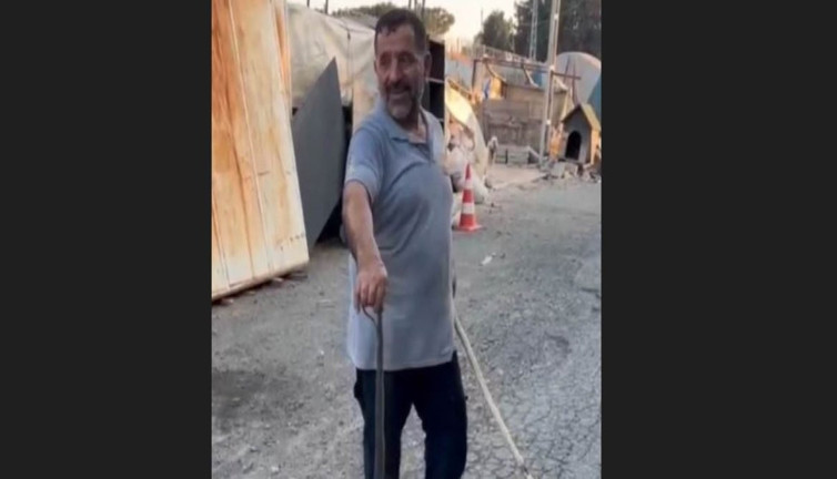 Kedi eve girecek yılanla boğuştu