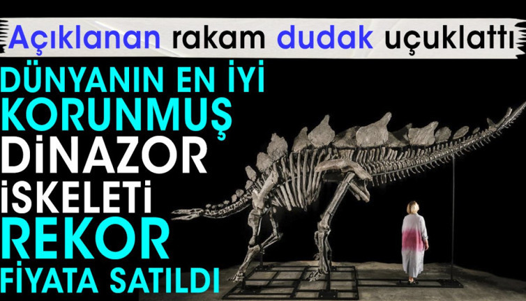 Dünyanın en iyi korunmuş dinazor iskeleti rekor fiyata satıldı. Açıklanan rakam dudak uçuklattı