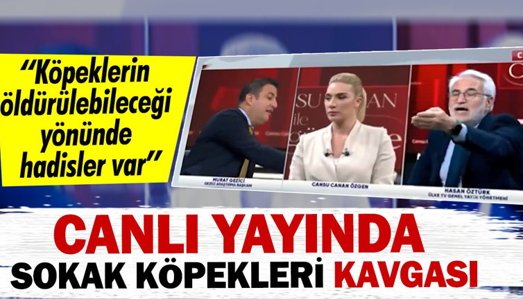 Canlı yayında sokak köpekleri kavgası: Köpeklerin öldürülebileceği yönünde hadisler var