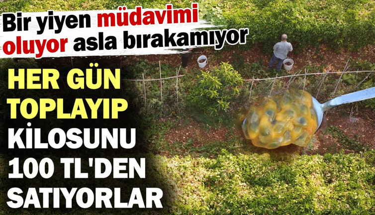 Bir yiyen müdavimi oluyor asla bırakamıyor! Kilosunu 100 TL'den satıyorlar
