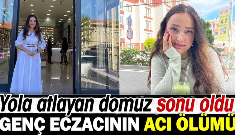 Yola atlayan domuz genç eczacının sonu oldu