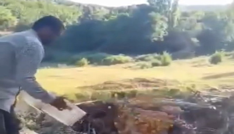 Para etmeyen kayısılarını dereye döktü