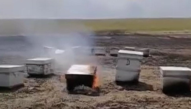 Babaeski'de anız yangını: Arılar telef oldu