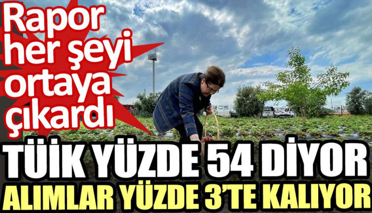 TÜİK yüzde 54 diyor, alımlar yüzde 3’te kalıyor. Rapor her şeyi ortaya çıkardı