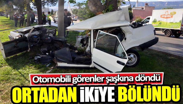 Ağaca çarpan otomobili görenler şaşkına döndü! Ortadan ikiye bölündü