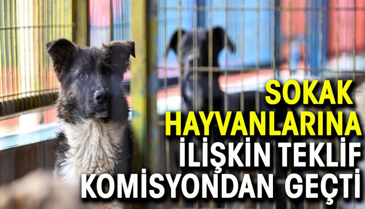 Sokak hayvanlarına ilişkin tartışmalı teklif komisyonda geçti