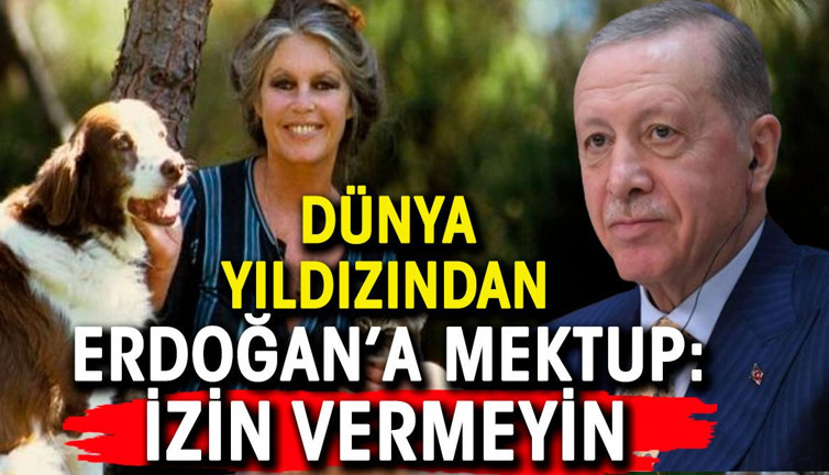 Brigitte Bardot Erdoğan'a mektup yazdı: İzin vermeyin