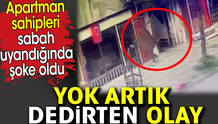 Yok artık dedirten olay. Apartman sahipleri sabah uyandığında şoke oldu