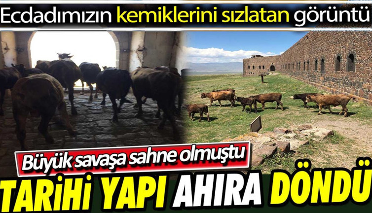 Ecdadımızın kemiklerini sızlatan görüntü! Mecidiye Tabyası ahıra döndü