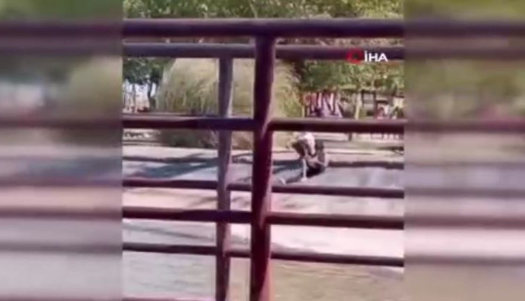 Süs havuzunda tehlikeli oyun! Yürekler ağza geldi