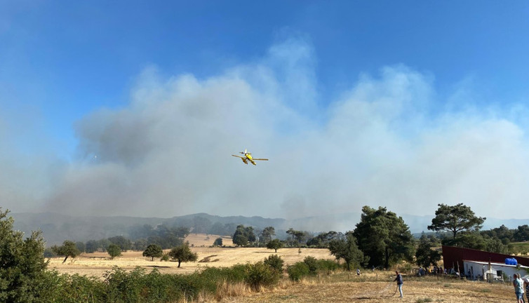 Çanakkale'de orman yangını. Havadan ve karadan müdahale sürüyor